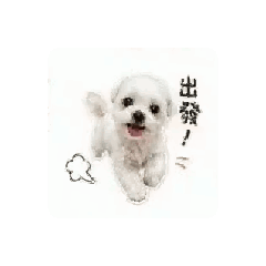 團團生活日常