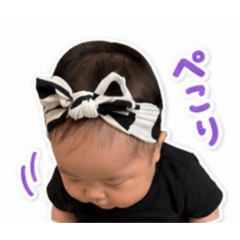 Qtaro_20260520160112