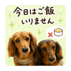 KUMI_20260520155338