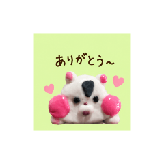 jangarianhamustar