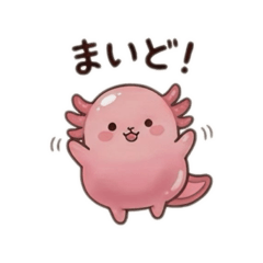 m-cha_20260520165610