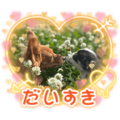 Sleep_20260520190841
