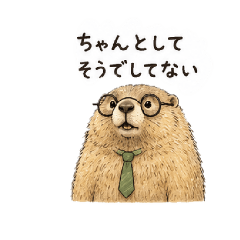marmotooo
