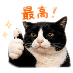 kenken kenji