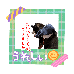 re_20260520163157