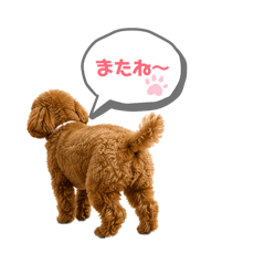 Momo_20260520181501