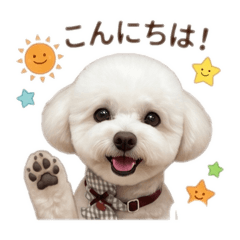 momo_20260521164822