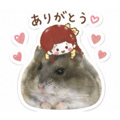 Korankawaii
