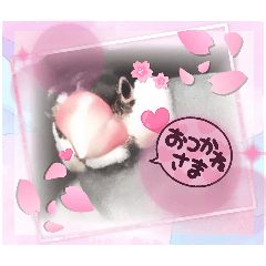 SHITAFUSA_20260520211036