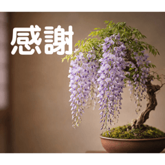 Bonsai Messages of Thanks