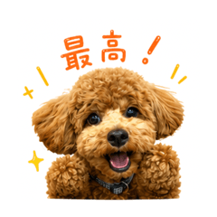 miki_20260520211104