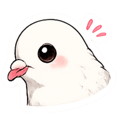 POPO_20260521181518