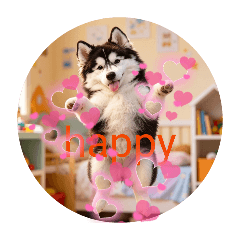 Hana the Husky