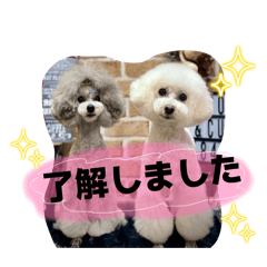 yuka_20260521213636