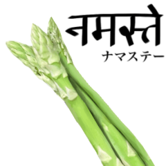 Flesh Asparagus 10