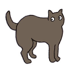 Life with a black cat