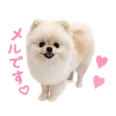 Meru_20260521183106