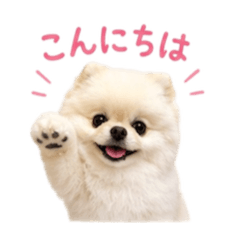 Meru_20260521183545