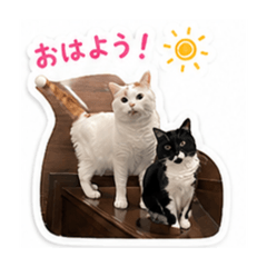 Richu_20260521223918