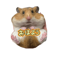 riho_20260521232050