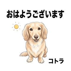 Kotra Cute Daily Stickers Vol01