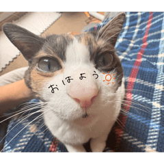 MAYU_20260521235152