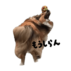 Risa_20260521231930