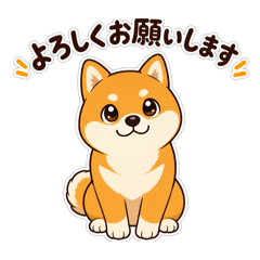 MOMO_20260522001634