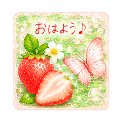 Seishun_20260522001505