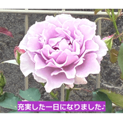 MOMO_20260522015709