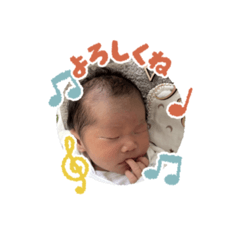 miki_20260522044809