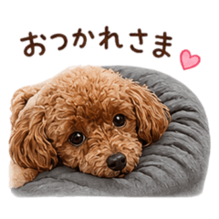mako_20260522060125