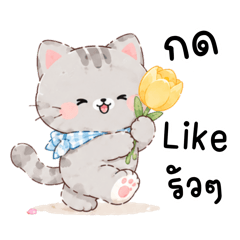 แก๊งเจ้าเหมียวในสวนทิวลิป