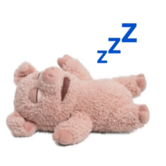 fluffy pig plush