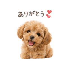 matsu_20260522053907