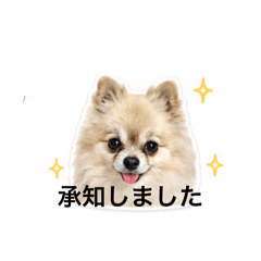 Yuuc1216