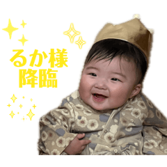 shio_20260522073100