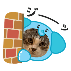 an_20260522082323