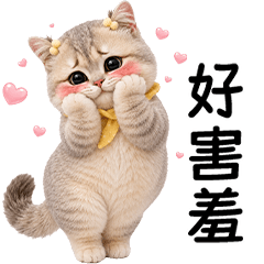 British Shorthair very very cute [TW]