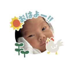 ichikachan20260408
