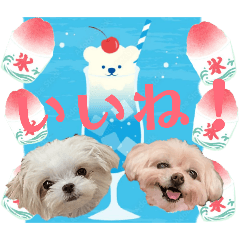 takayo_20260522104650