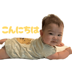 miki_20260522113331