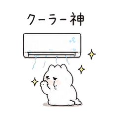 Summer Mood Cat