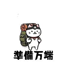 Cute Camping Cat