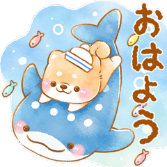 iyashibainu summer