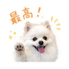 hono_20260522122345