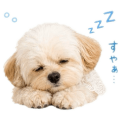 runa_20260522122005