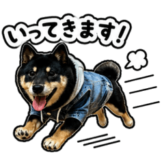 Mimi_20260522135127