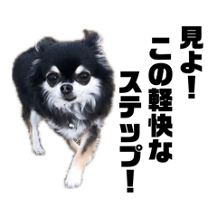 arigatai_rito