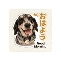 NANA_20260522155801